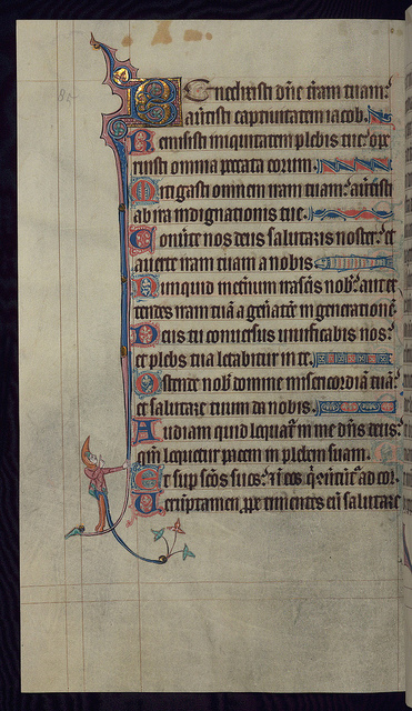 6069369723_ee697728eb_z_d